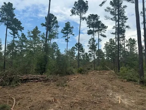 090 County Road Divide Pineland TX 75968