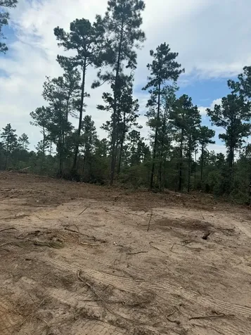 090 County Road Divide Pineland TX 75968