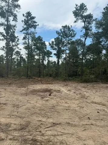 090 County Road Divide Pineland TX 75968