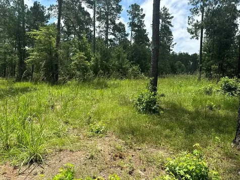 090 County Road Divide Pineland TX 75968