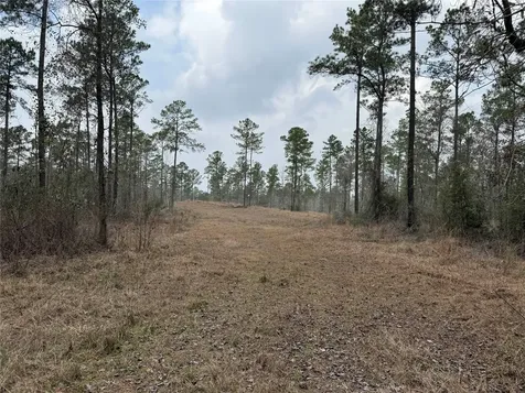 090 County Road Divide Pineland TX 75968