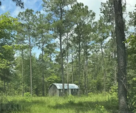 090 County Road Divide Pineland TX 75968