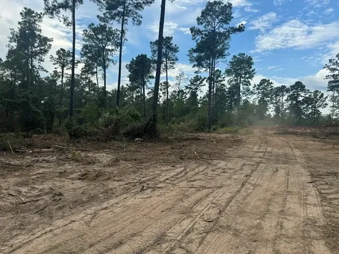 090 County Road Divide Pineland TX 75968