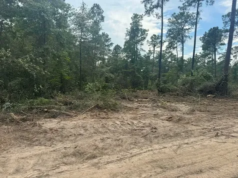 090 County Road Divide Pineland TX 75968