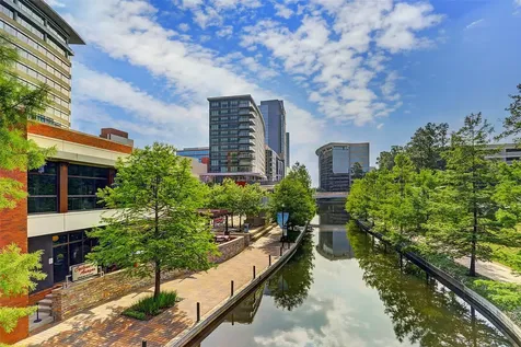60 W Indian Sage Circle The Woodlands TX 77381