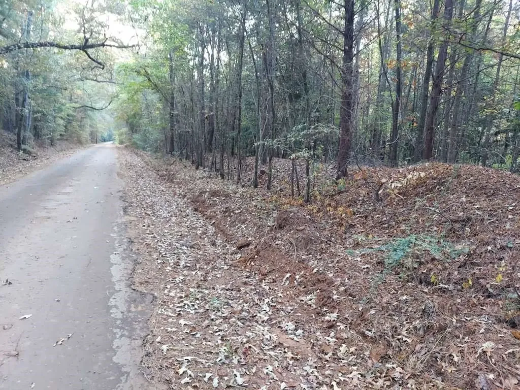 0 County Road 1587 Trail 3a Avinger TX