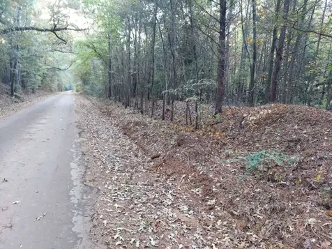 0 County Road 1587 Trail 3a Avinger TX
