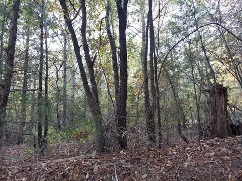 0 County Road 1587 Trail 3a Avinger TX