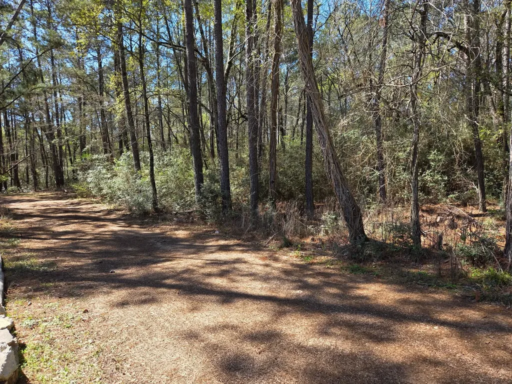 Lot 19 Hackberry Drive Plantersville TX 77363