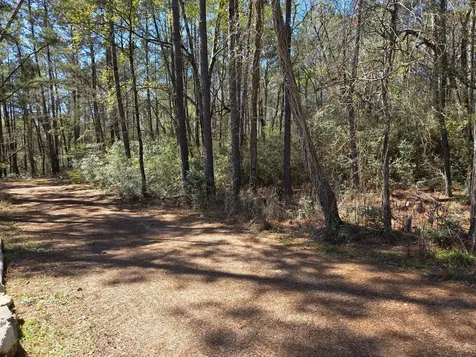 Lot 19 Hackberry Drive Plantersville TX 77363