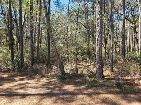Lot 19 Hackberry Drive Plantersville TX 77363