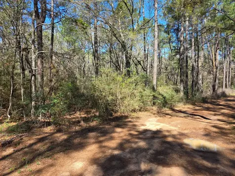 Lot 19 Hackberry Drive Plantersville TX 77363