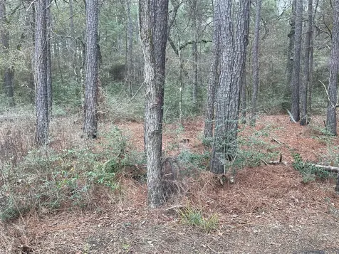 Lot 19 Hackberry Drive Plantersville TX 77363