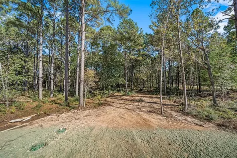 11332 Annie Creek Drive Willis TX 77378
