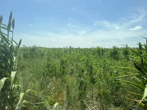 3000 County Road 352 Bartlett TX 76511