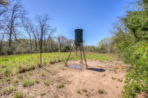 Tbd County Road 482 Normangee TX 77871