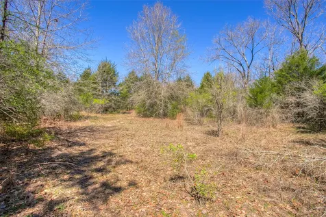 Tbd County Road 482 Normangee TX 77871