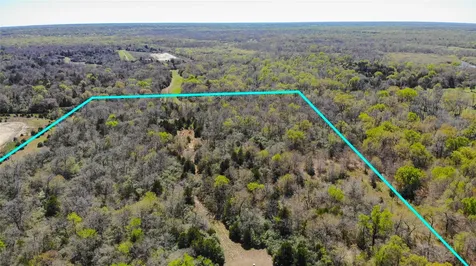 Tbd County Road 482 Normangee TX 77871