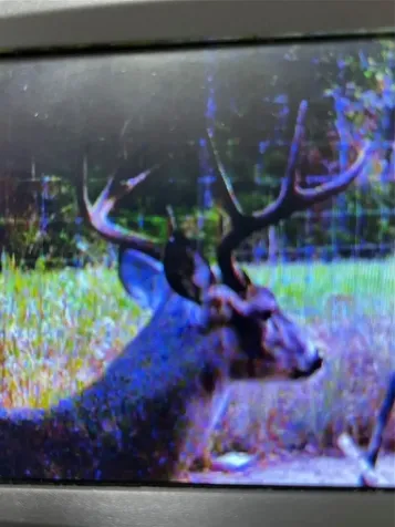 Tbd County Road 482 Normangee TX 77871