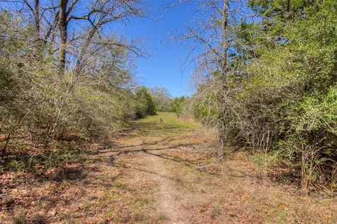 Tbd County Road 482 Normangee TX 77871
