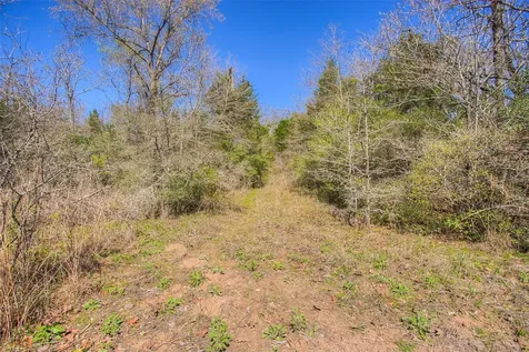Tbd County Road 482 Normangee TX 77871