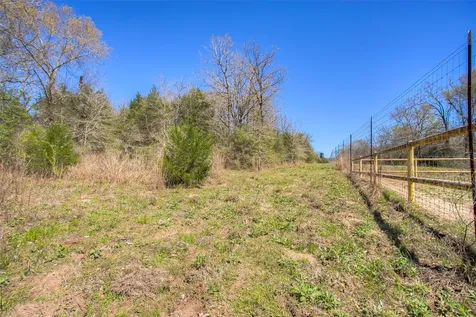 Tbd County Road 482 Normangee TX 77871