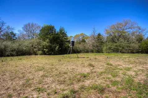 Tbd County Road 482 Normangee TX 77871