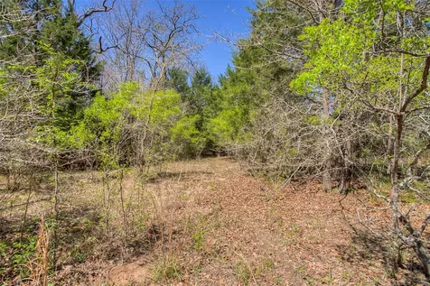Tbd County Road 482 Normangee TX 77871