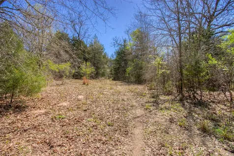 Tbd County Road 482 Normangee TX 77871
