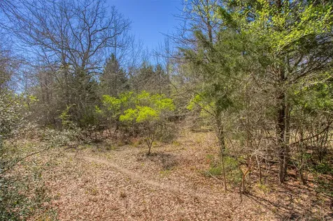 Tbd County Road 482 Normangee TX 77871