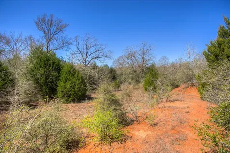 Tbd County Road 482 Normangee TX 77871