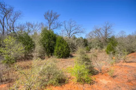 Tbd County Road 482 Normangee TX 77871