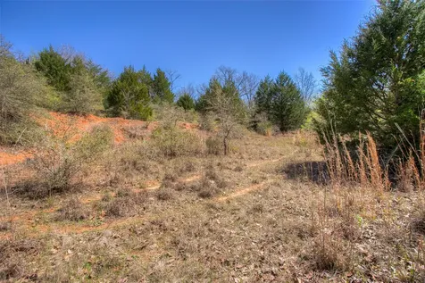 Tbd County Road 482 Normangee TX 77871