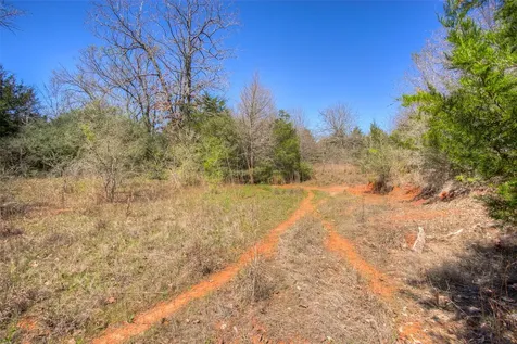 Tbd County Road 482 Normangee TX 77871