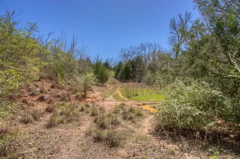 Tbd County Road 482 Normangee TX 77871