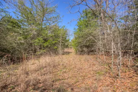 Tbd County Road 482 Normangee TX 77871