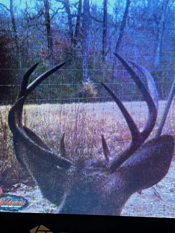 Tbd County Road 482 Normangee TX 77871