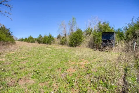 Tbd County Road 482 Normangee TX 77871