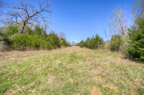 Tbd County Road 482 Normangee TX 77871