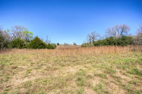 Tbd County Road 482 Normangee TX 77871