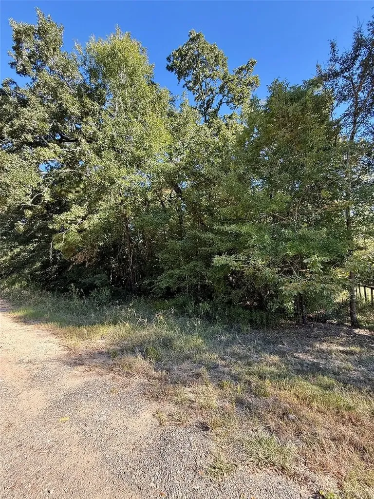 Lot 85 Tomahawk Trail Livingston TX 77351