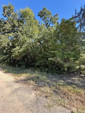 Lot 85 Tomahawk Trail Livingston TX 77351