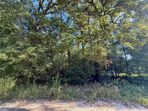 Lot 85 Tomahawk Trail Livingston TX 77351