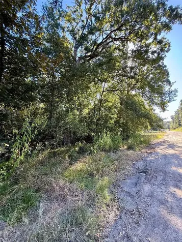 Lot 85 Tomahawk Trail Livingston TX 77351
