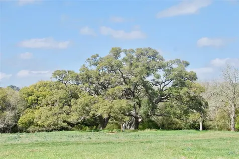 494 County Road 217c Schulenburg TX 78956