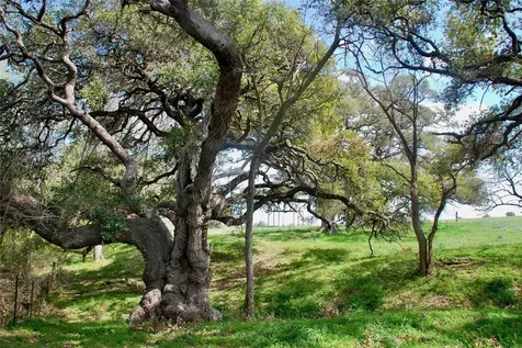 494 County Road 217c Schulenburg TX 78956