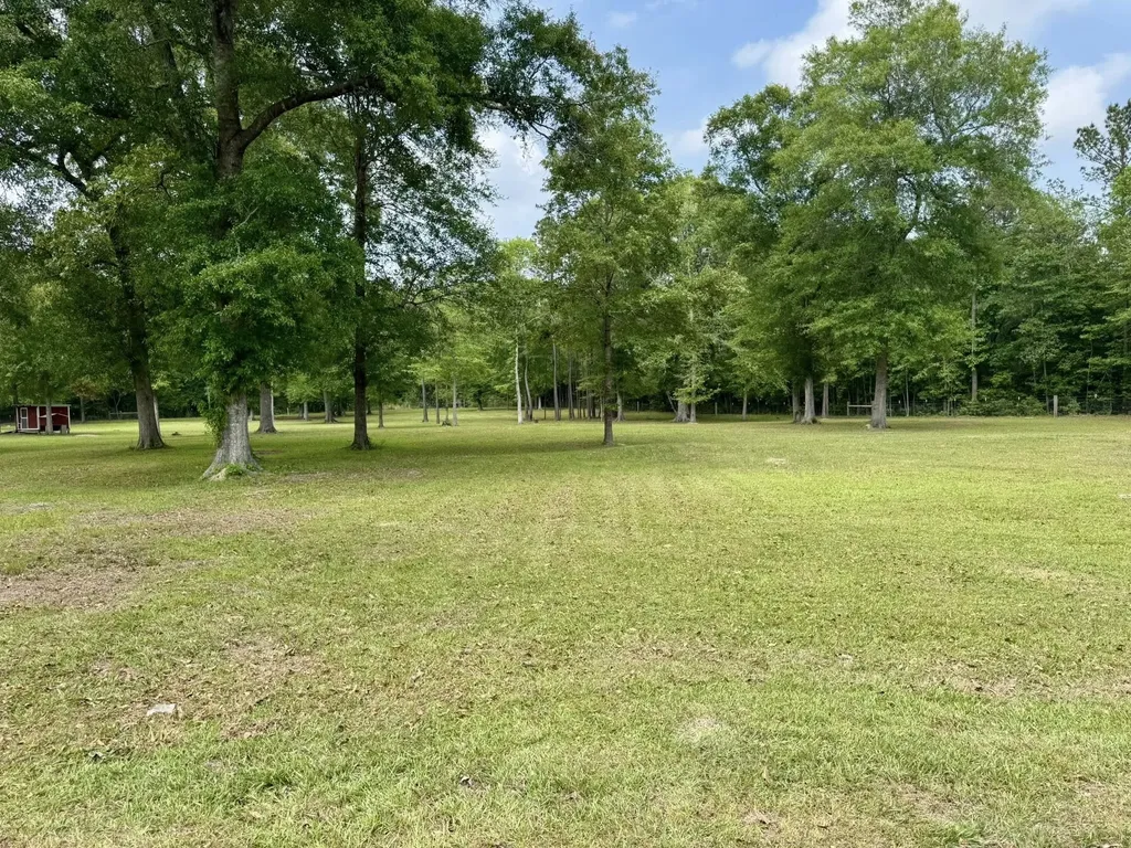 Tbd County Road 1325 Warren TX 77664