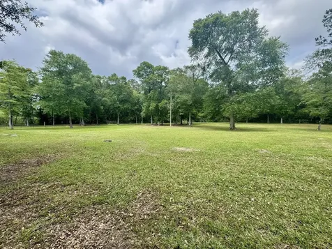 Tbd County Road 1325 Warren TX 77664