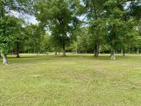 Tbd County Road 1325 Warren TX 77664