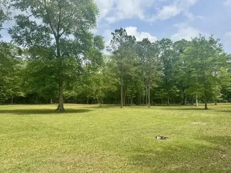 Tbd County Road 1325 Warren TX 77664